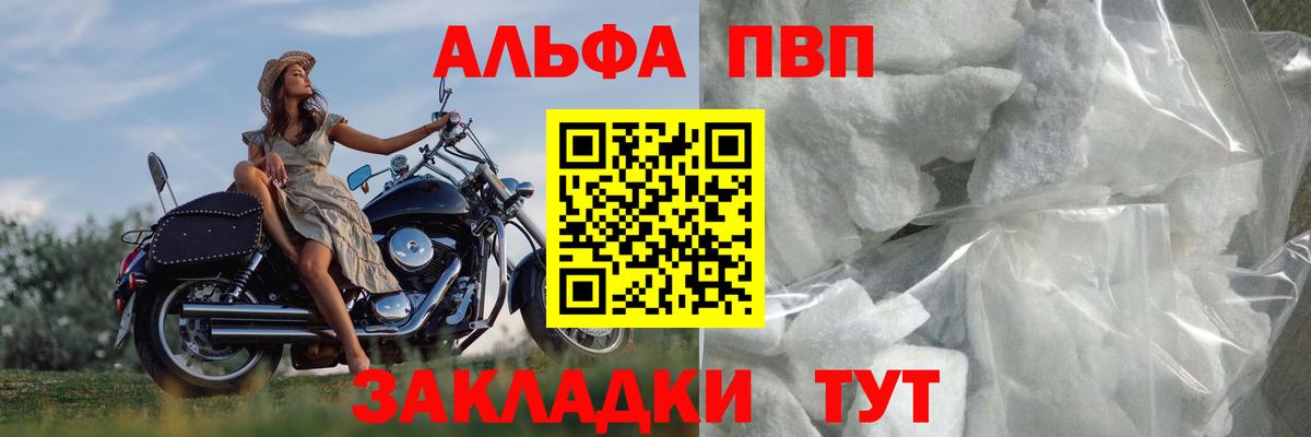 Лсд 25 Новороссийск
