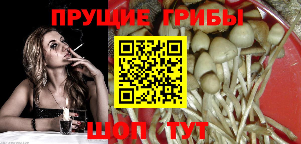 Галлюциногенные грибы ЛСД Новороссийск