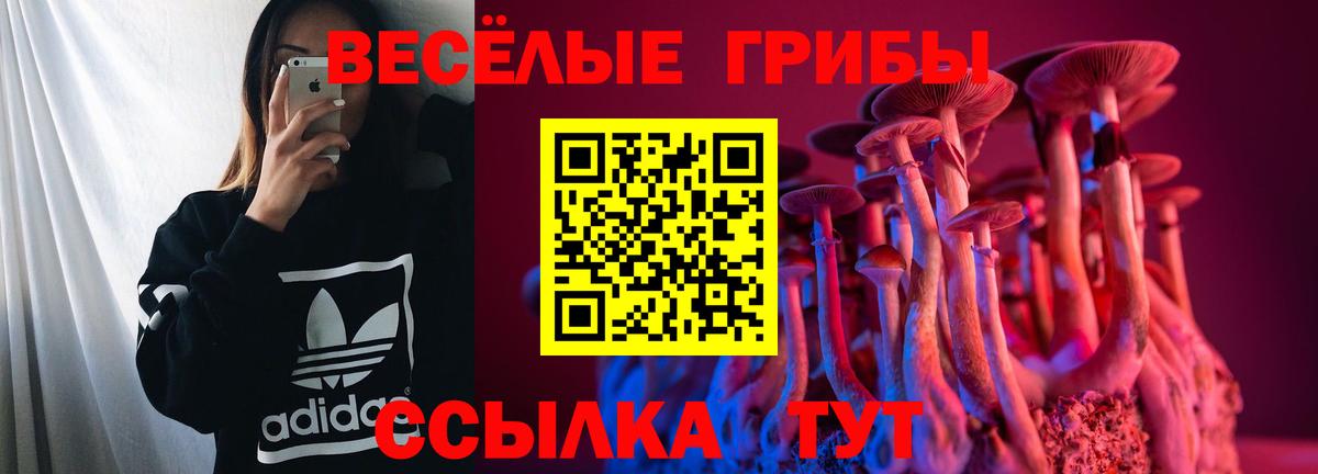 Новороссийск  Псилоцибиновые грибы Psilocybine cubensis  Вход с VPN  Галлюциногенные грибы Cubensis 